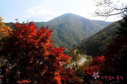 Đắm mình trong cảnh đẹp mùa thu xứ Hàn