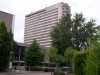 Trường Đại học kinh doanh Rotterdam