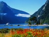 Khả năng tìm việc tại NewZealand Khả năng tìm việc tại NewZealand