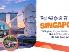 Trại hè quốc tế Singapore 2023 – Khám phá đảo quốc sư tử xinh đẹp