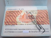 Visa 115 – Người thân còn lại