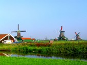 Du học Hà Lan với bằng IELTS 6.0 được không?